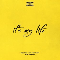 Обложка Эндшпиль & TumaniYO - It's My Life