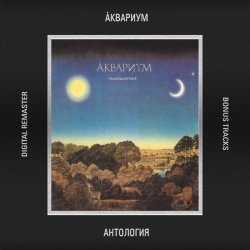 Обложка Аквариум - Великий дворник