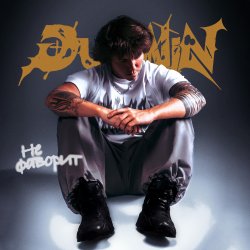 Обложка Dubinin - Не фаворит
