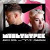 Pochette Andi & Faya feat. Мультитрек - Смерека Andi & Faya feat. Мультитрек - Смерека
