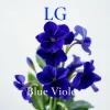 Обкладинка Lali Gordzamashvili - ლურჯი იები-Blue Violets Lali Gordzamashvili - ლურჯი იები-Blue Violets