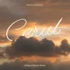 Proconsul - Cerul (Dj Razz & Mentol Remix)
