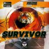 Обложка Survivor - Eye Of the tiger (Prime Remix) Survivor - Eye Of the tiger (Prime Remix)