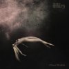 The Pretty Reckless - Got So High (Remix)
