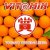Обложка Vit@miN - Ты нехорошая