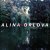 Обложка Alina Orlova - Kam