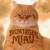 Обложка Lenar & Leonardo P - Montagem Miau - Slowed