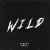 Cover Albert Brite - Wild