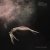 Обложка The Pretty Reckless - Got So High (Remix)
