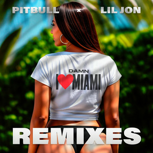 Обложка Pitbull & Lil Jon - Damn I Love Miami (Apollo XO Remix)