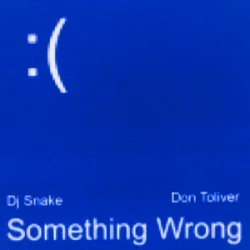 Обложка DJ Snake & Don Toliver - Something Wrong