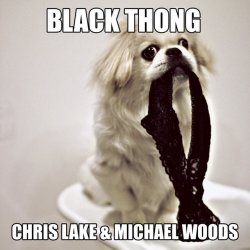 Обложка Chris Lake & Michael Woods - Black Thong (Original Mix)