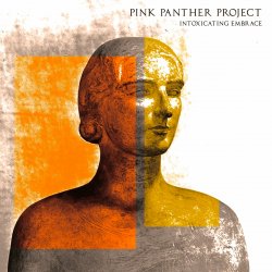 Обложка Pink Panther Project - Streets On Fire