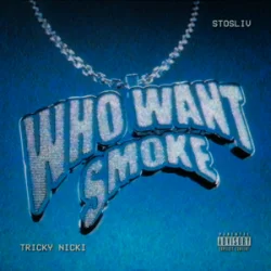 Обложка Tricky Nicki & STOSLIV - Who Want Smoke?