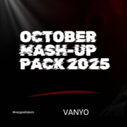 Обложка Анна Трінчер - Півонії (DJ VANYO Mashup)