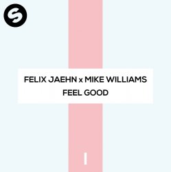 Обложка Felix Jaehn x Mike Williams - Feel Good