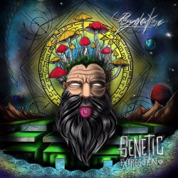 Обложка Psydewise - Genetic Reflection
