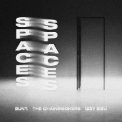 Обложка BUNT. & The Chainsmokers & Izzy Bizu - Spaces