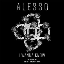 Обложка Alesso feat. Nico & Vinz - I Wanna Know (Alesso & Deniz Koyu Remix)