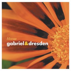 Обложка Gabriel & Dresden - Lament