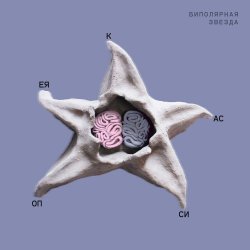 Обложка Кассиопея - Мышцы головы