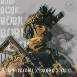 Обложка Гаррі Шульц & SKOFKA & Yaski - Вовк