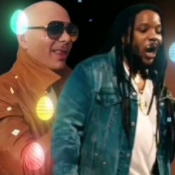 Обложка Pitbull feat. Stephen Marley - Options