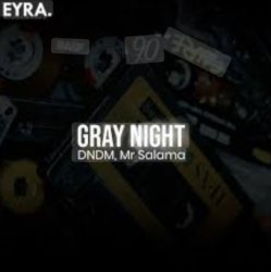 Обложка DNDM, Mr Salama - Gray Night