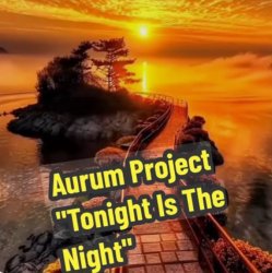 Обложка Aurum Project - Tonight Is The Night