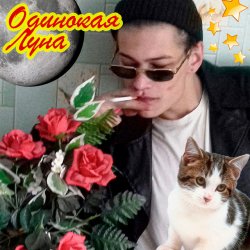 Обложка ЮГ 404 - Одинокая луна