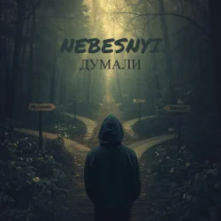Обложка Nebesnyi - ДУМАЛИ