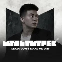 Обложка MUZA & МУЛЬТИТРЕК - Don't make me cry