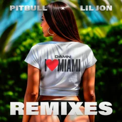 Обложка Pitbull & Lil Jon - Damn I Love Miami (JumpSmokers Remix)