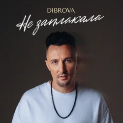 Обложка DIBROVA - Не заплакала