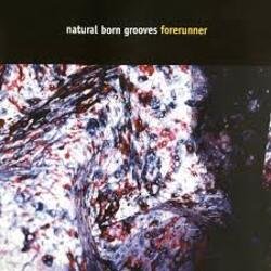 Обложка Natural Born Grooves - Forerunner (Future Breeze Mix)