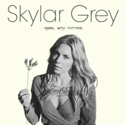 Обложка Skylar Grey - Shame On You