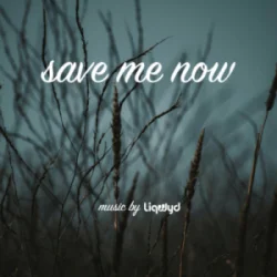 Обложка LiQWYD - Save me now