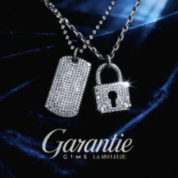 Обложка GIMS & La Rvfleuze - GARANTIE