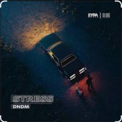 Обложка DNDM - Stress