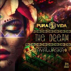 Обложка Pura Vida & Ayawaska - Ooda