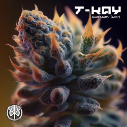 Обложка T-Kay - Ganjah VIP (Original Mix)