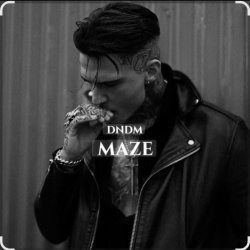 Обложка DNDM - Maze