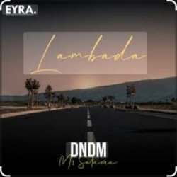 Обложка DNDM & Mr Salama - Lambada