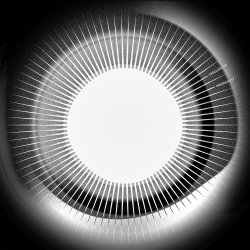 Обложка Disclosure - Moonlight