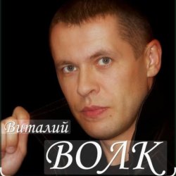 Обложка Виталий Волк - Судьба моя копейка медная