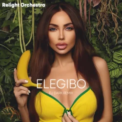 Обложка Relight Orchestra - Elegibo (Dj Dark Remix)