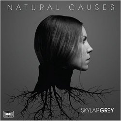 Обложка Skylar Grey - Jump