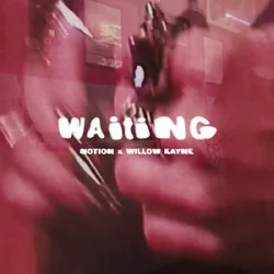 Обложка NOTION & Willow Kayne - WAITING