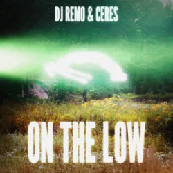 Обложка Dj Remo & CERES - On The Low