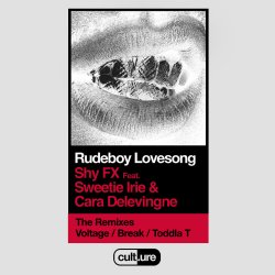 Обложка Shy FX feat. Sweetie Irie and Cara Delevingne - Shy FX (Remixes)